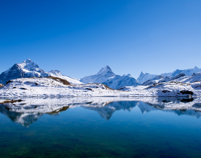 My Event in Switzerland Grindelwald