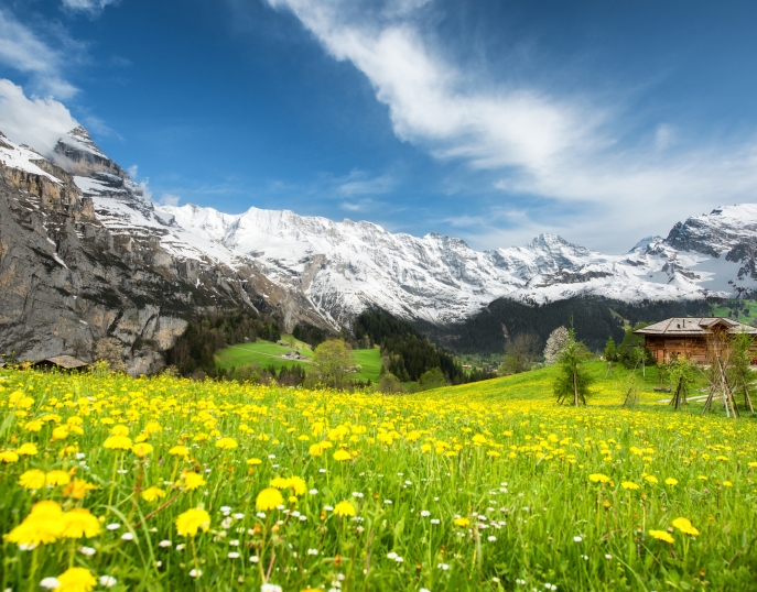 My Event in Switzerland Grindelwald