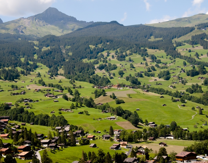 My Event in Switzerland Grindelwald