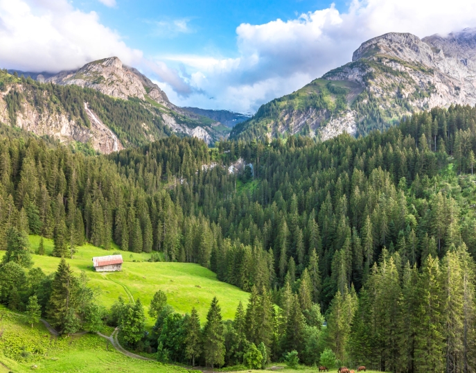 My Event in Switzerland Gstaad