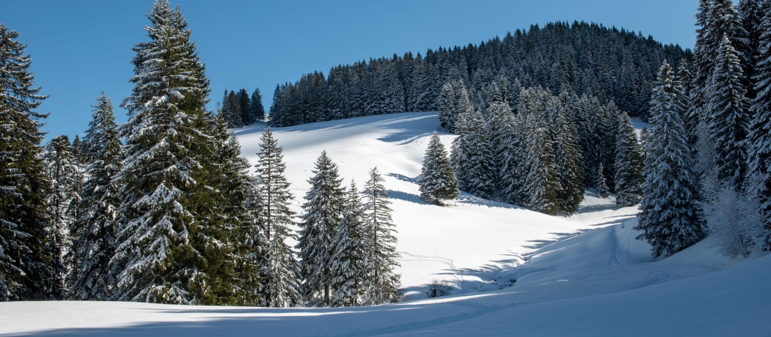 My Event in Switzerland Les Portes du Soleil