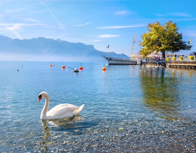 My Event in Switzerland Vevey