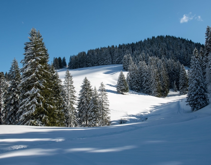 My Event in Switzerland Les Portes du Soleil