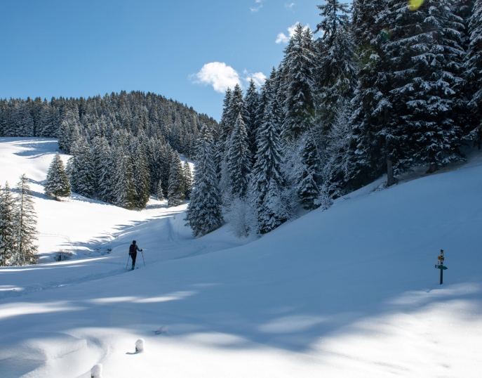 My Event in Switzerland Les Portes du Soleil