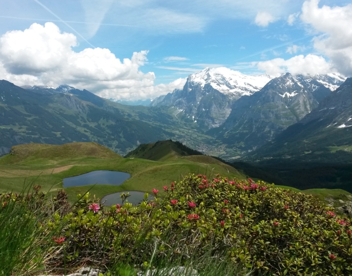 My Event in Switzerland Grindelwald