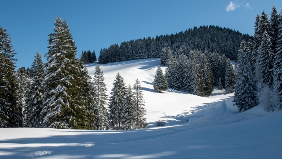 My event in switzerland les portes du soleil My Event in Switzerland Les Portes du Soleil